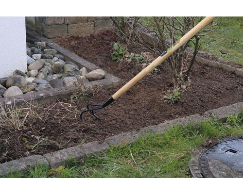 Trädgårdshacka med träskaft används för att bearbeta jorden i en trädgårdsrabatt.