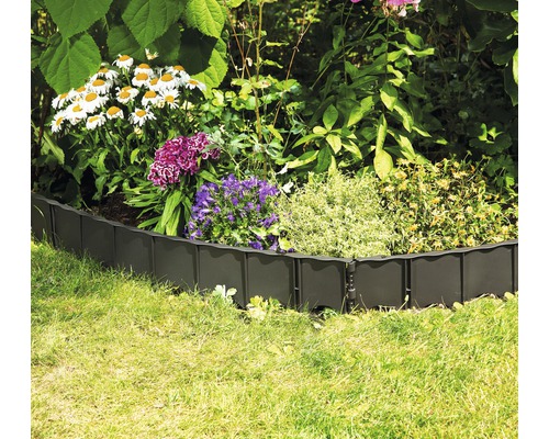 Trädgård med gräskantstenar och olika växter.