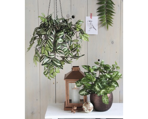 Dekorativ interiörscen med hängande växt, krukväxt och lykta på ett bord.