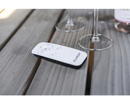 Eurom fjärrkontroll på ett träbord