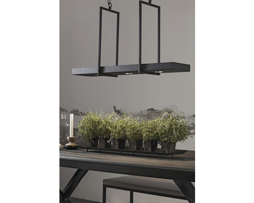 Hängande metallampa över ett matbord med krukväxter