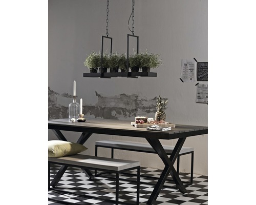 Matbord med bänkar och hängande örtagård under en taklampa