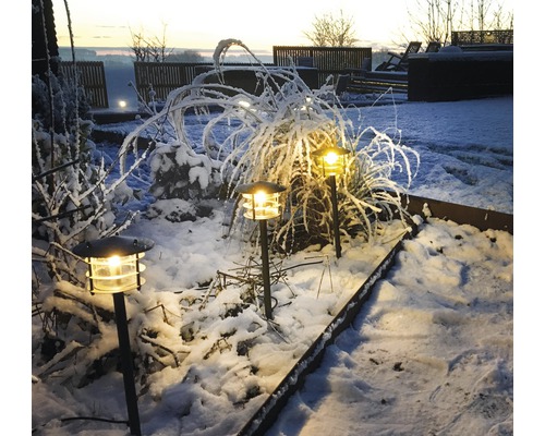 Upplyst trädgårdsgång med snö och utomhusbelysning