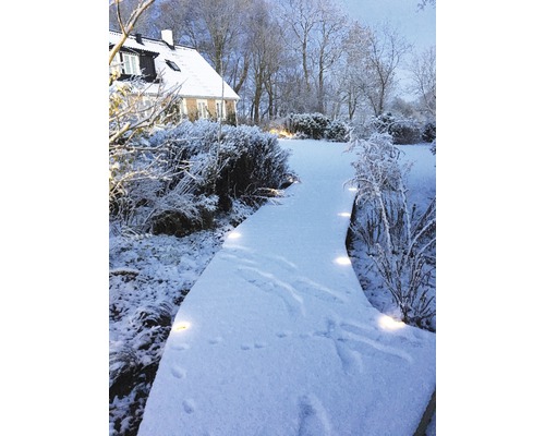 Vinterlandskap med snötäckt trädgårdsgång och hus