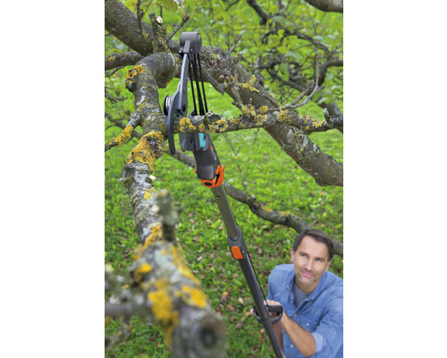 En person använder en grensax med teleskopskaft för att klippa en gren.