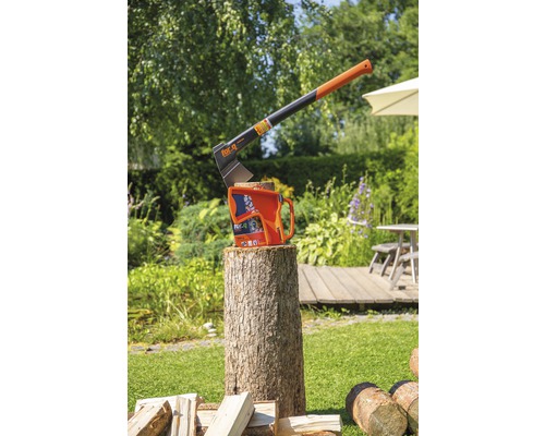 For-Q klyvyxa på en trästubbe i trädgården