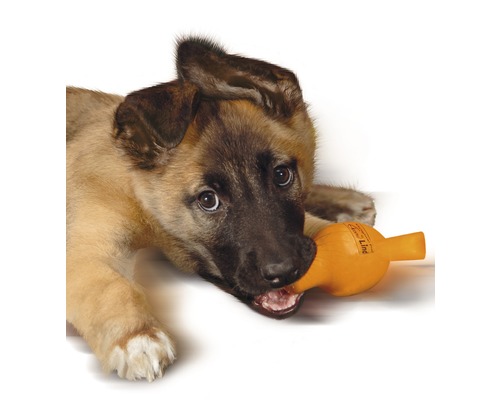 Valp tuggar på en hundleksak