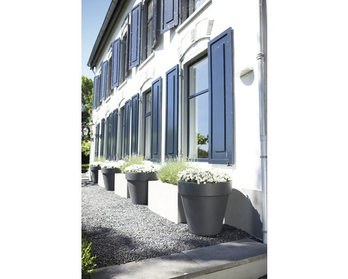 Husfasad med fönsterluckor och planterade blomkrukor