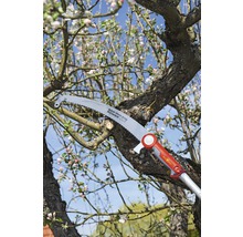 Grensax som beskär ett träd med blommor