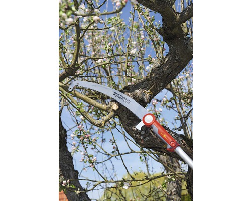Grensax som beskär ett träd med blommor