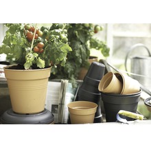 Blomkruka ELHO Green Basics Ø15x14cm svart