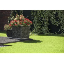 Trädgårdsområde med konstgräs, blomlådor i sten och murgröna
