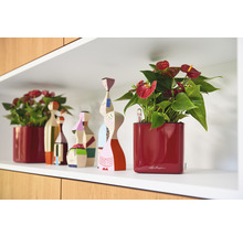 Dekorativ hylla med krukväxter i kruka och träfigurer