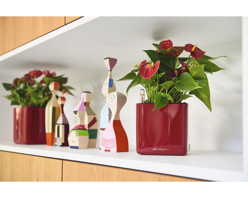 Dekorativ hylla med krukväxter i kruka och träfigurer