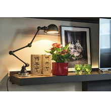 Dekorativ hylla med svängbar armatur, anthuriumväxt, tegelstenar och dekoration