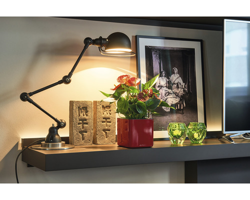 Dekorativ hylla med svängbar armatur, anthuriumväxt, tegelstenar och dekoration