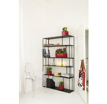 Rumsvy med svart hylla, växter och transparent stol