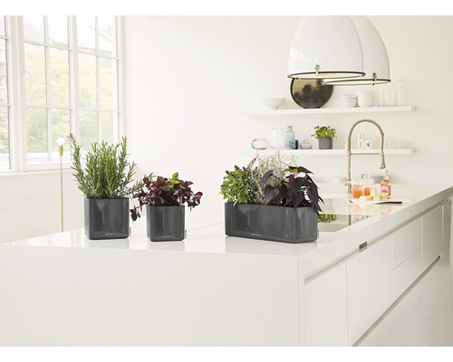 Tre grå planteringskärl med örter på en köksö.