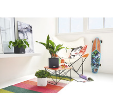 Ljust, vänligt rum med växter i Lechuza-krukor, fåtölj, skateboard och matta