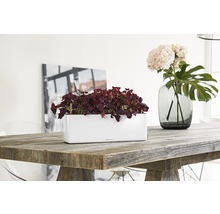Dekorativ bordsdekoration med en vit blomlåda och en vas med blommor på ett träbord