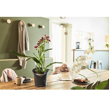 Matsalsbordsdekoration med krukväxt och porslin i en ljus, vänlig atmosfär.