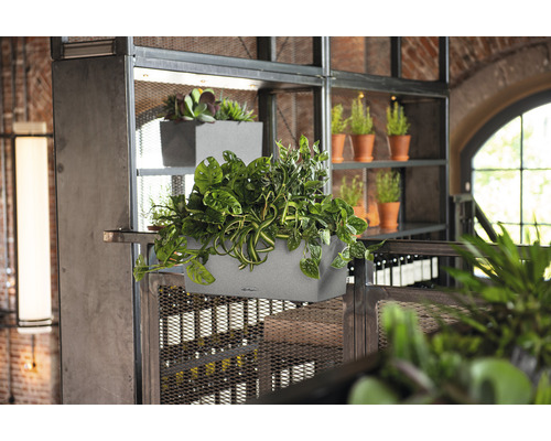 Scen med planterade grå blomlådor på en metallhylla.