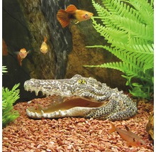 Akvariedekoration ORBIT krokodilhuvud-thumb-1