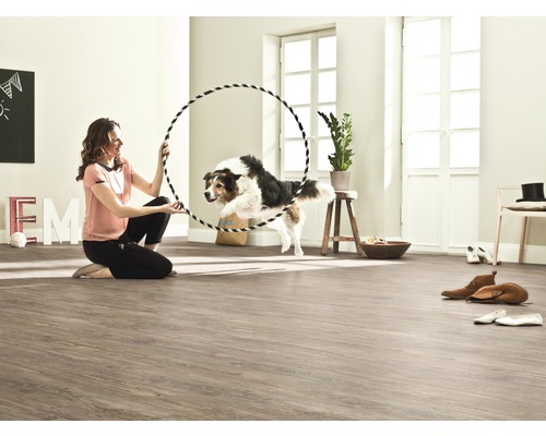 Ljust rum med laminatgolv, kvinna håller en ring som en hund hoppar igenom