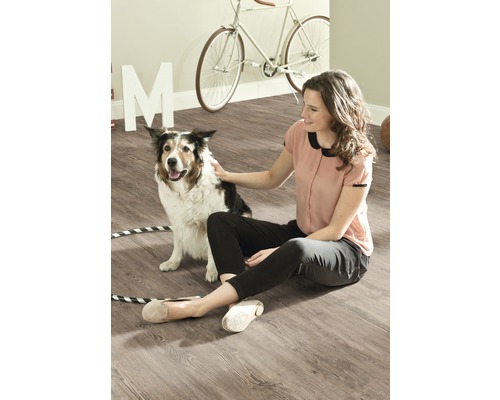 Kvinna klappar hund på laminatgolv i vardagsrum. En cykel och dekorationer syns i bakgrunden.