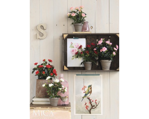 Dekorativ scen med rosor i krukor, en hylla och väggmålningar