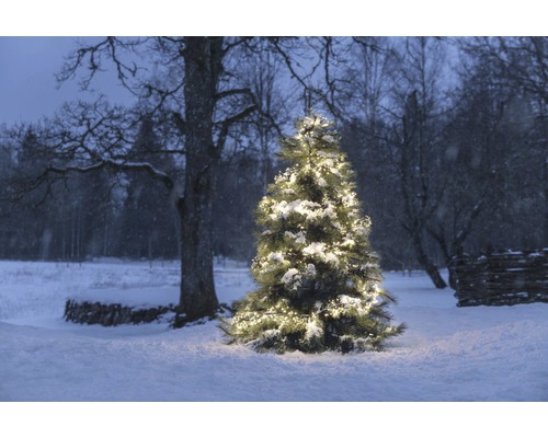 Belyst julgran i snöig utomhusmiljö