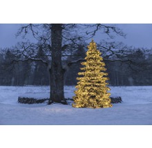 Dekorerad julgran i en snöig trädgård