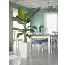 Självvattnande blomkruka LECHUZA Cubico Color plast 30x30x56cm mattvit
