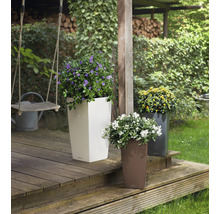Självvattnande blomkruka LECHUZA Cubico Color plast 30x30x56cm mattvit