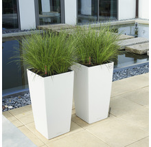 Självvattnande blomkruka LECHUZA Cubico Color plast 30x30x56cm mattvit