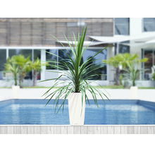 Självvattnande blomkruka LECHUZA Cubico Color plast 30x30x56cm mattvit