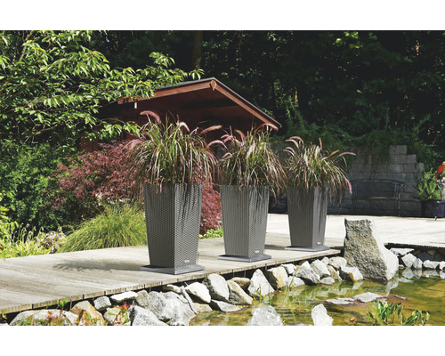 Tre blomkrukor med växter vid dammen i trädgården.