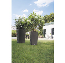 Självvattnande blomkruka LECHUZA Cubico Cottage plast 40x40x75cm granit