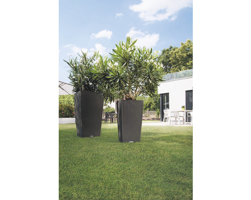 Två blomlådor med växter i trädgården