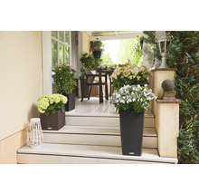 Självvattnande blomkruka LECHUZA Cubico Cottage plast 40x40x75cm granit