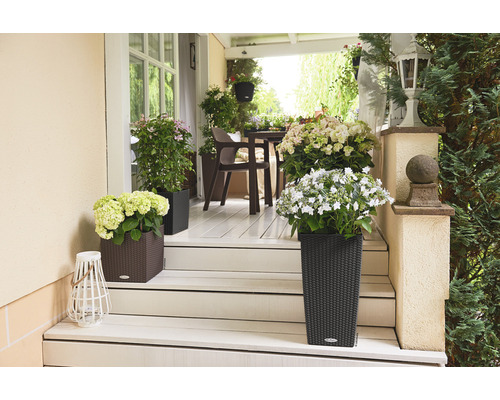 Terrass med växter i planteringskärl och trädgårdsmöbler