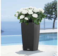 Självvattnande blomkruka LECHUZA Cubico Cottage plast 40x40x75cm granit