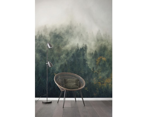 Scen med non-woven tapet som visar en dimmig skog, en stol och en golvlampa