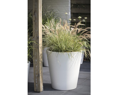 Scen med en vit planteringskruka med prydnadsgräs i trädgården.