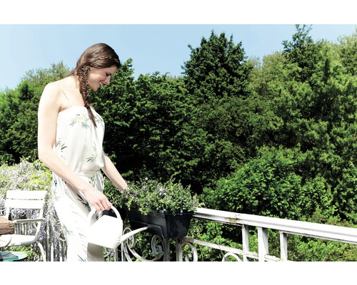 Kvinna vattnar blommor på en balkong med en vattenkanna