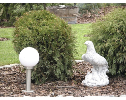 Trädgårdsfigur Örn med unge vit 50cm