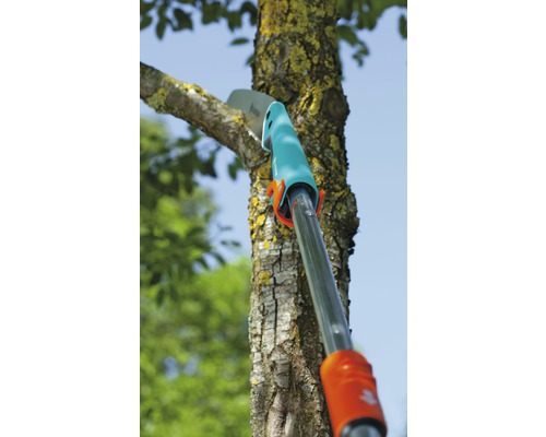 Grensåg som skär en gren.