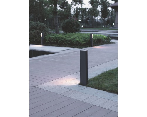 Miljöbild med flera gångljus längs en trädgårdsgång.