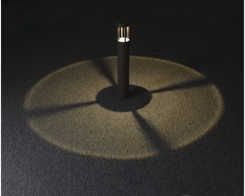 Trädgårdslampa lyser upp marken