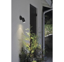 En utomhusvägglampa lyser upp en växt bredvid en dörr.